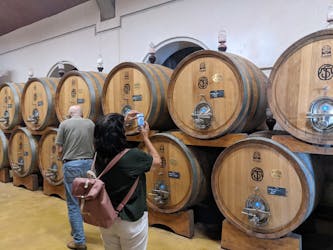 Valpolicella-ervaring, rondleiding met wijn en lunch vanaf het Gardameer